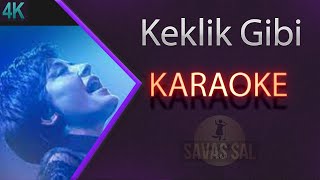 Keklik Gibi Kanadımı Süzmedim Karaoke Türkü [upl. by Gabel313]