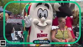 Philadelphia celebrates Wawa Hoagie Day [upl. by Animsay743]