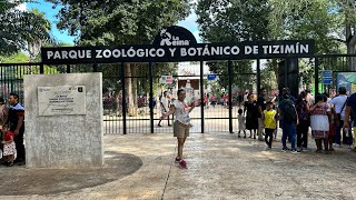 Explorando el Zoológico de Tizimin Yucatán 2024 [upl. by Heyes]