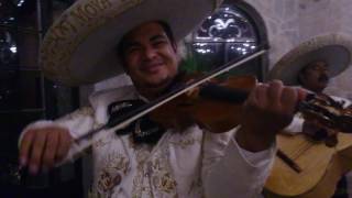 LAS PERLITAS MARIACHI MOYA [upl. by Ellerrad108]