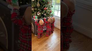 How to protect Christmas Tree from Triplets 🎄 lifehack christmas triplets mom cute twins [upl. by Aiseneg]