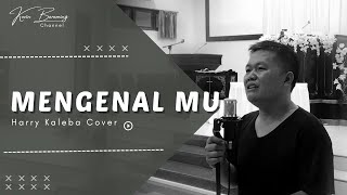 Mengenal Mu Sidney Mohede  Harry Kaleba Cover [upl. by Acinorrev]