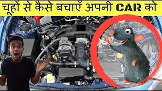 Protect your CAR from RATS Easy steps चूहों से कैसे बचाएँ अपनी CAR को [upl. by Yerffoej]