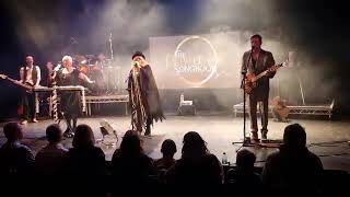 The Fleetwood Mac Songbook UK Tribute perform The Chain [upl. by Natalee]