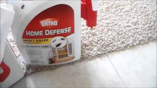 HOME DEPOT DEALOrtho Home Defense Max [upl. by Simpkins949]