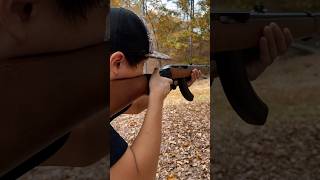 Shooting Subsonics Out Of The Ruger 1022 [upl. by Anoj882]