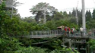 Jurong Bird Park Singapore  Lory Loft 1 [upl. by Galatia270]