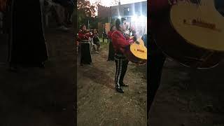 HERMOSO CARIÑOMARIACHI LATINO CORDOBA VERACRUZen la voz de Samuel [upl. by Malka]