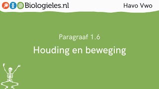 Havo Vwo 1  Stevigheid en beweging  6 Houding en beweging  Biologielesnl [upl. by Yule]