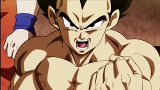 VEGETA HABLA SOBRE LOS SAIYAJIN A VERMOUTHLATINO [upl. by Mazman]