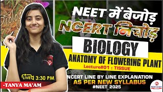 LIVE NEET 2025  BIOLOGY NCERT LINE BY LINE  ANATOMY OF FLOWERING PLANTS L01 newlightneet [upl. by Bjork]