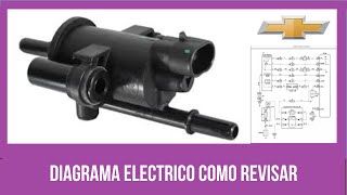 Como revisar válvula de purga EVAP Aveo 16  Diagrama eléctrico [upl. by Rozek]