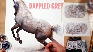 How to Paint Dappled Grey in Watercolor Easy Tutorial [upl. by Alleoj]