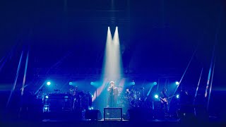 DISH  猫 Official Live Video 2020 First Step [upl. by Aenaj257]