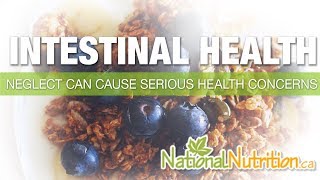 Natural Health Reviews  Intestinal Health  Gut Health amp Digestive Tract  National Nutrition [upl. by Eneg]