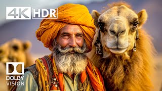 Meditate HDR 4K 60 FPS  Dolby Vision 4K Video [upl. by Rramel]