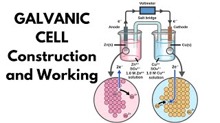 Galvanic cell l Construction and Working [upl. by Josh]