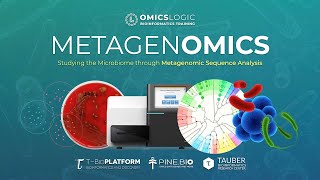 Metagenomic Data Analysis [upl. by Mylor]