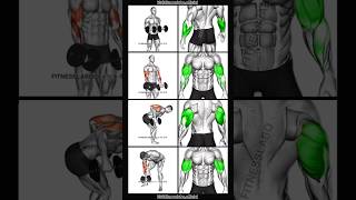 BEST Arms Workout with Dumbbells  Biceps and Triceps  🦾🦾 [upl. by Searby]