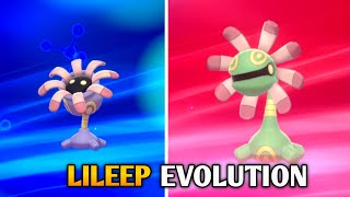 How To Evolve Lileep Into Cradily In Pokemon Sword amp Shield  Galar Pokedex [upl. by Fernandes678]