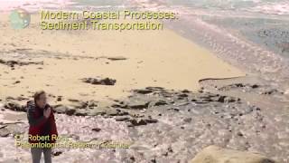 Modern Coastal Processes Sediment Transport [upl. by Adelaide]