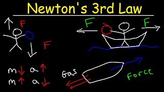 Newtons Third Law of Motion  Action and Reaction Forces [upl. by Allie]