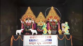 Jay Jagannath Besha near nayapalli Bhubaneswar🙏🏻 [upl. by Adnovad]