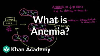 What is anemia  Hematologic System Diseases  NCLEXRN  Khan Academy [upl. by Ainslee]