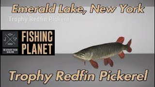 Fishing Planet Trophy Redfin Pickerel Emerald Lake New York [upl. by Htrow]