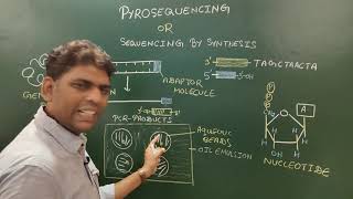 Pyrosequencing [upl. by Adlesirc]