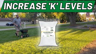 How to Increase Potassium K Levels in your Lawn [upl. by Racklin461]