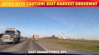 DRIVE WITH CAUTION IN VALLEY Sugar Beet Harvest Underway [upl. by Blasius185]