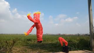 Wacky Waving Inflatable Arm Flailing Tube Man  I Love It [upl. by Mollie179]