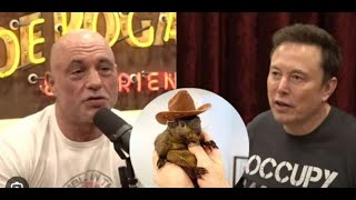 Great summary of conversation  Elon Musk amp Joe Rogan [upl. by Cosme]