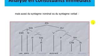 Cours La représentation arborescente  Morphosyntaxe [upl. by Norreht]