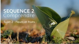 Séquence 2 sujet 2  Fleurs et fruits [upl. by Rednave446]