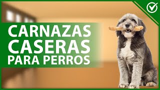 Hueso de CARNAZA Para PERROS 🐕ventajas y desventajas [upl. by Penrod]