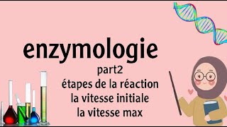 enzymologie  la cinétique enzymatique part 2 [upl. by Eimaral]