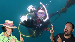 Divers React to Terrifying Wreck Experience [upl. by Aloel]