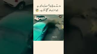 haadisay se bach jana qasmat ki🤮 shorts bilaltv00002 trending viralvideo [upl. by Gurney]