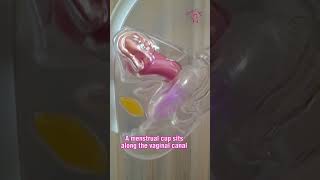 MENSTRUAL CUPS vs MENSTRUAL DISCS menstruationmatters [upl. by Hootman]