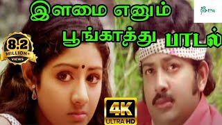 Ilamai Enum Poongatruஇளமை எனும் பூங்காற்றுS P Balasurahmanyam Melody H D Video Love Song [upl. by Natsyrt146]