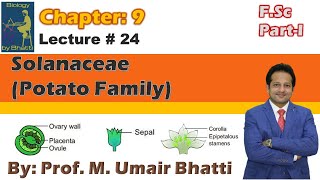 Solanaceae Potato Family  Chapter 9 Kingdom Plantae  Biology FSc PartI  Umair Bhatti [upl. by Willcox]