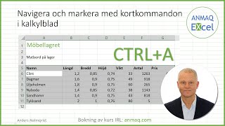 Navigera och markera med kortkommandon i kalkylblad [upl. by Nadirehs]