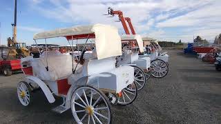 Electric Horse Carriage horse electronic vehicles [upl. by Airahs491]