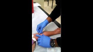 Phlebotomy Demonstration [upl. by Goeselt]