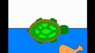 My Turtle Swims Sideways [upl. by Aieka]