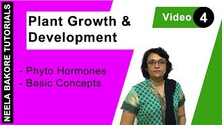 Plant Growth amp Development  NEET  Phyto Hormones  Basic Concepts  Neela Bakore Tutorials [upl. by Jay]