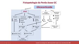 Osteoporose por Glicocorticoide [upl. by Oad]