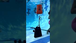 Hanging bucket in swimming pool but why [upl. by Addie]